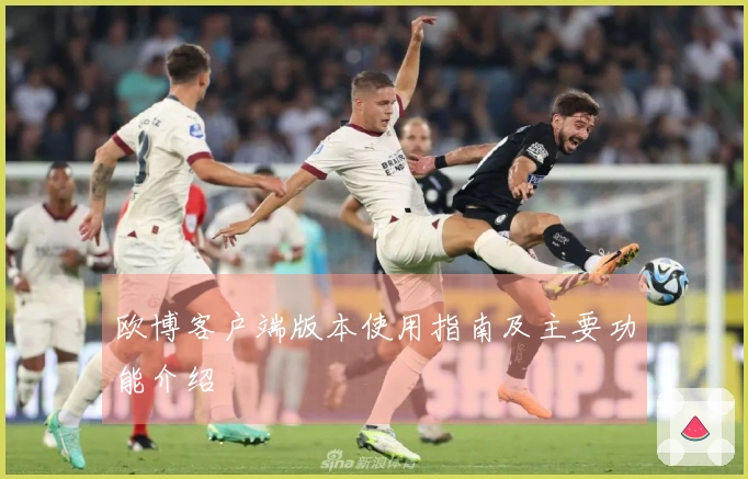 欧博客户端版本使用指南及主要功能介绍