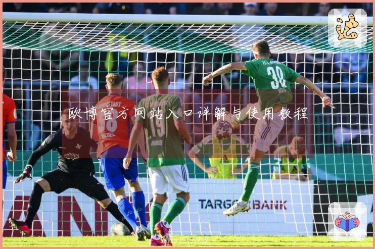 欧博官方网站入口详解与使用教程