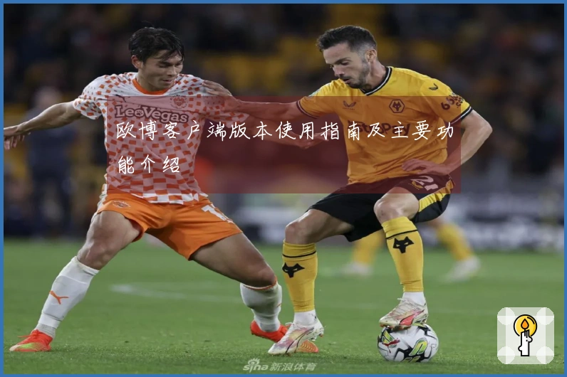 欧博客户端版本使用指南及主要功能介绍