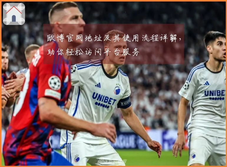 欧博官网地址及其使用流程详解，助你轻松访问平台服务