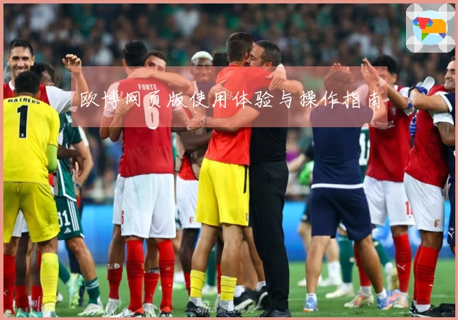 欧博网页版使用体验与操作指南