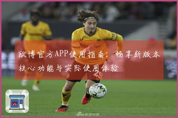 欧博官方APP使用指南：畅享新版本核心功能与实际使用体验