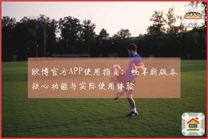 欧博官方APP使用指南：畅享新版本核心功能与实际使用体验