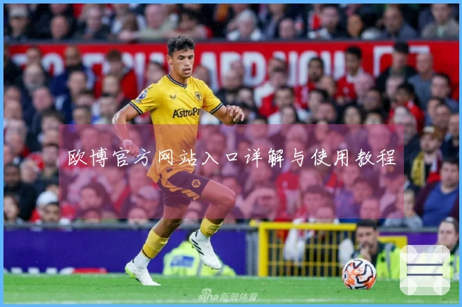 欧博官方网站入口详解与使用教程